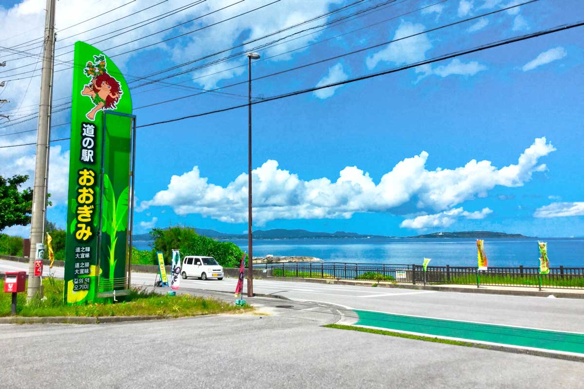 道の駅おおぎみ やんばるの森ビジターセンターは沖縄の魅力たっぷり